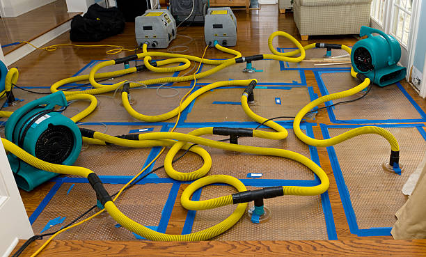 Professional Basement Flood Cleanup technician working in Leon, IA