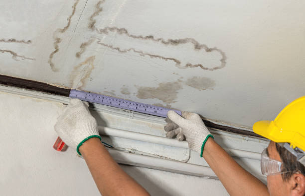 Affordable Water Damage Repair solutions in Leon, IA